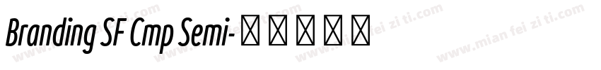 Branding SF Cmp Semi字体转换